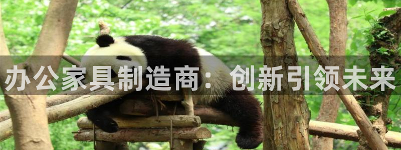 球盟会官网登录入口