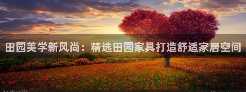 球盟会可以提现么