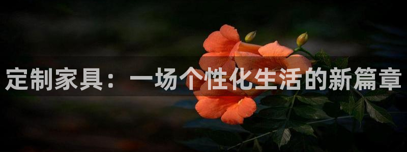 球盟会综合体育平台怎么样