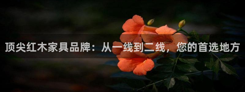 球盟会黑台子吗