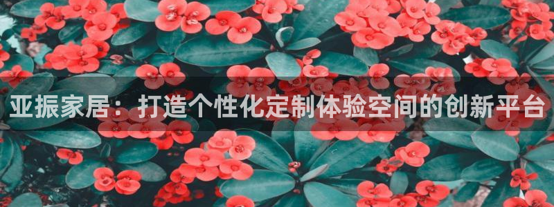 球盟会可以提现么现在