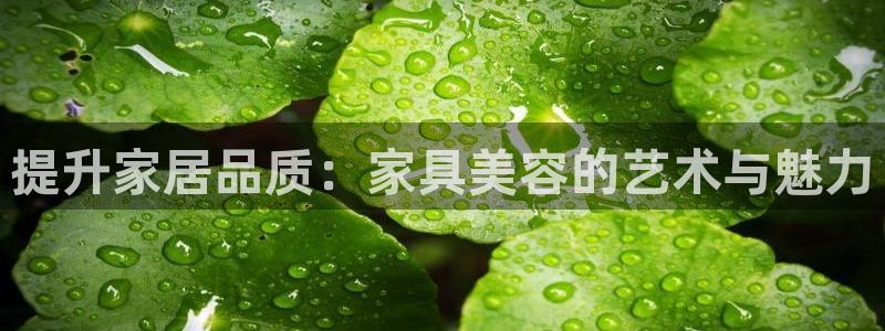 球盟会APP官网