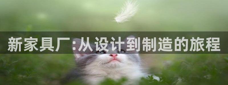 球盟会出款黑了