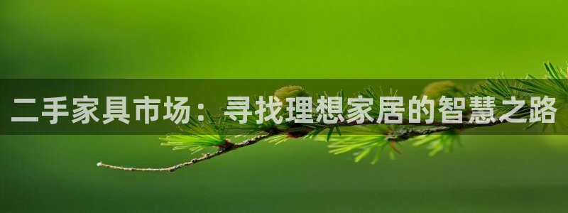 球盟会国际官网