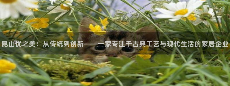 球盟会登录平台入口