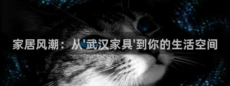 球盟会和中欧合作吗