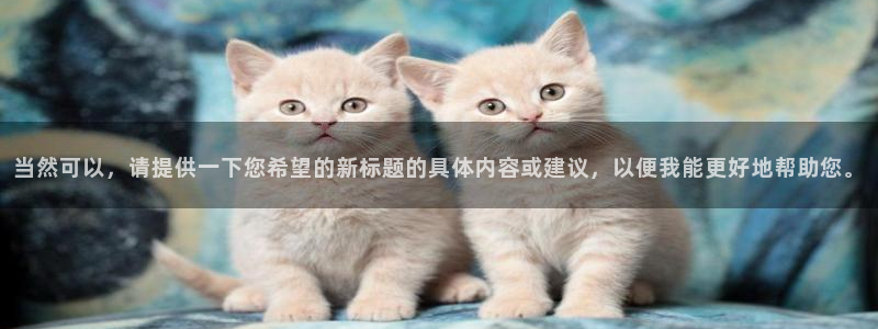 球盟会进不去
