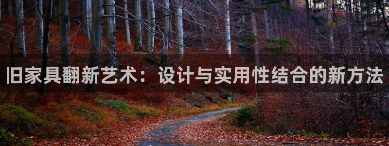 球盟会几点玩合适：旧家具翻新艺术：设计与实用性结合的新方法