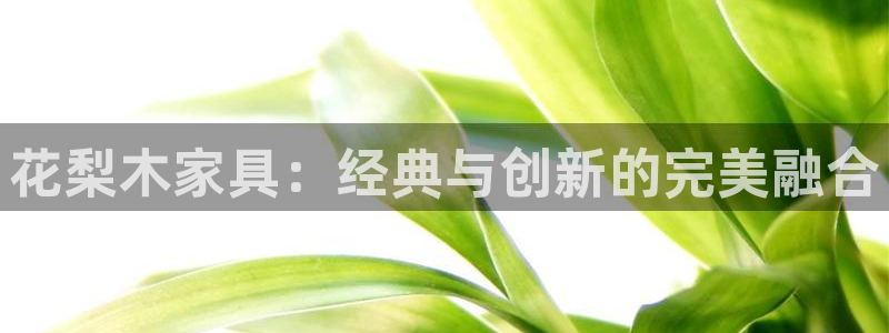 球盟会官方app首页入口