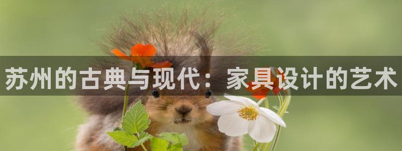 球盟会黑平台