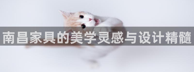 球盟会进不去