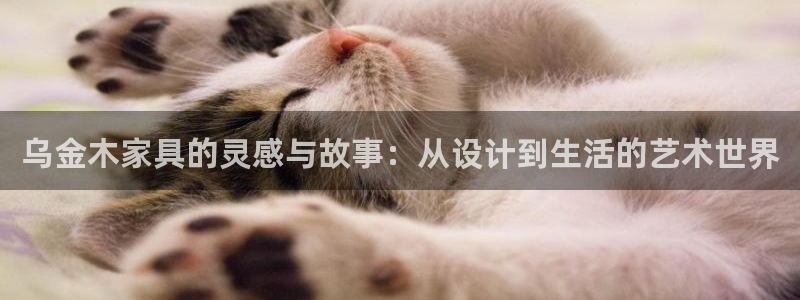 球盟会和中欧会的区别