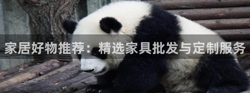 球盟会app最新地址在哪找