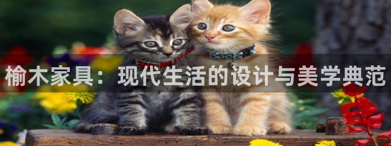 球盟会官方网站入口