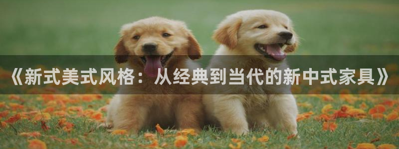 球盟会和中欧会的区别：《新式美式风格：从经典到当代的新中式家