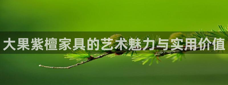 球盟会登录网址