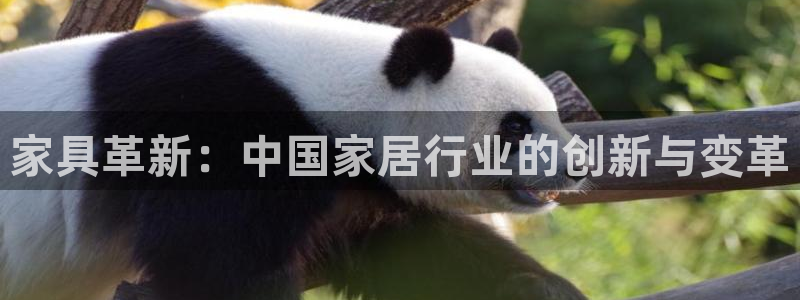 球盟会综合体育平台怎么样