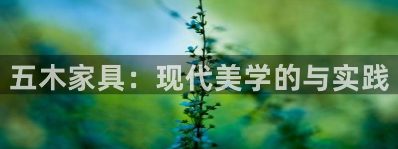 球盟会娱乐平台