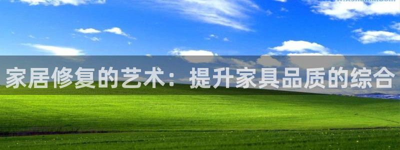 球盟会贴吧：家居修复的艺术：提升家具品质的综合
