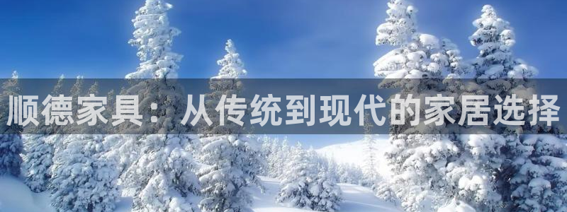 球盟会登陆中心