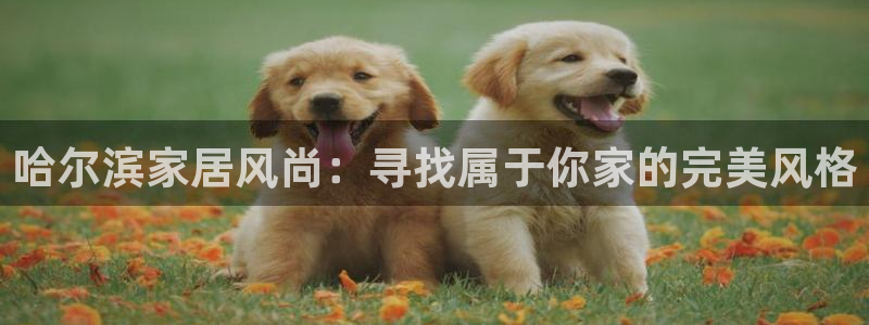 球盟会app最新地址在哪看