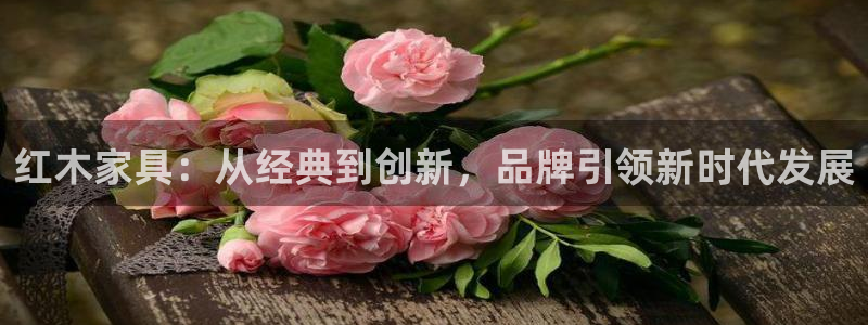 球盟会黑平台