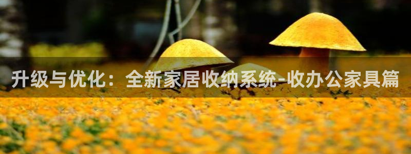 球盟会黑平台