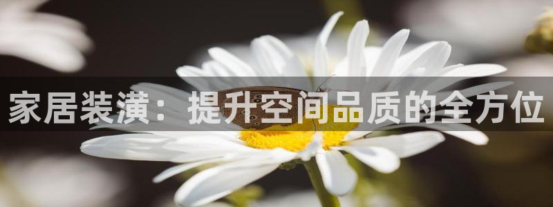 球盟会官方网站app
