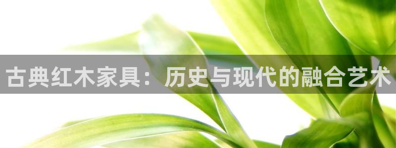 球盟会用的客服聊天是哪个软件