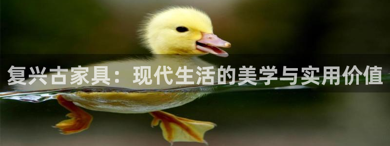 球盟会app网址多少