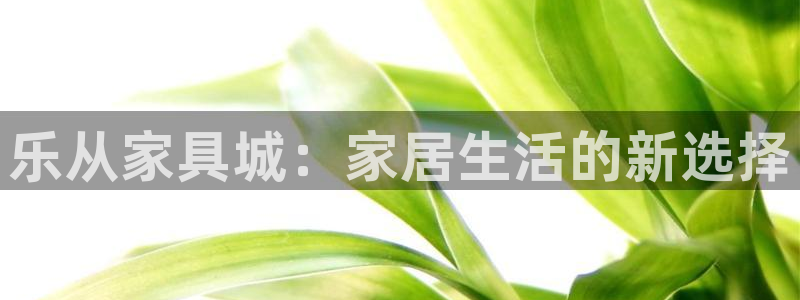 球盟会综合体育平台怎么样
