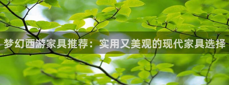 球盟会网页登录入口