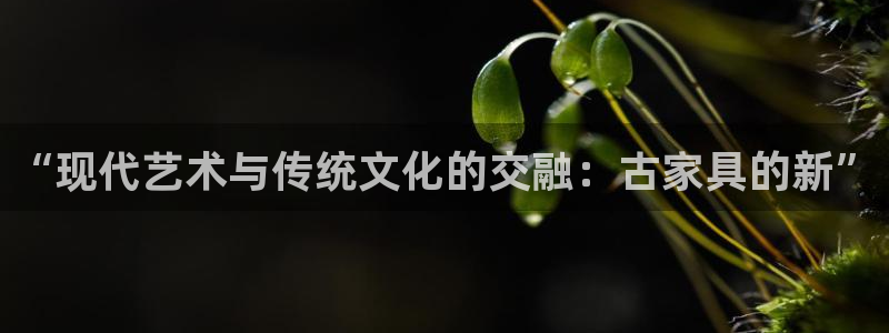 球盟会能退钱吗是真的吗