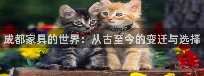 球盟会官方版下载地址