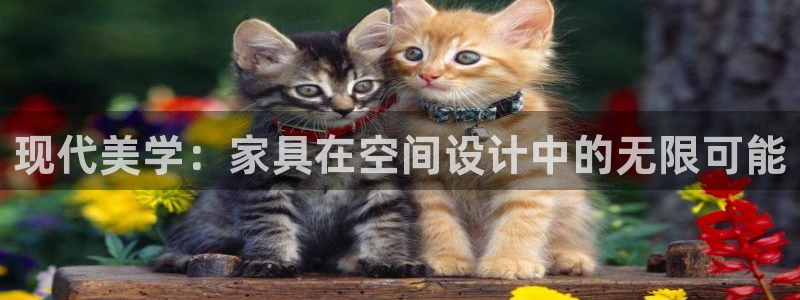 球盟会网页登录