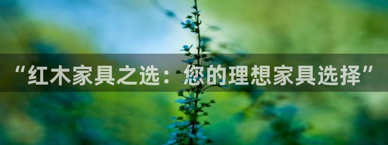 球盟会和中欧合作吗