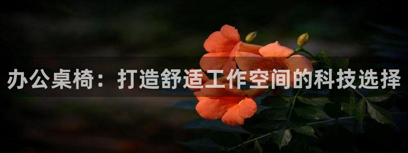 球盟会封号