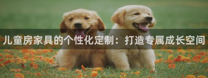 球盟会app最新地址在哪找：儿童房家具的个性化定制：打造专属