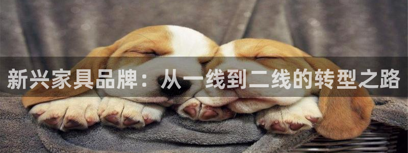 球盟会游戏几点玩合适