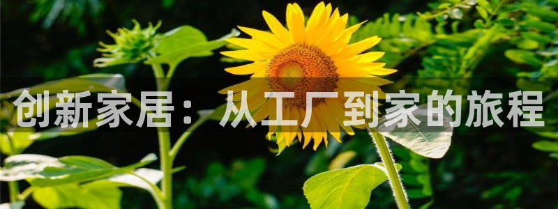 球盟会中国官方网站