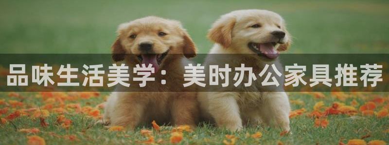 球盟会app网址多少号