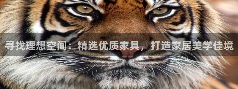 球盟会官方网页登录：寻找理想空间：精选优质家具，打造家居美学