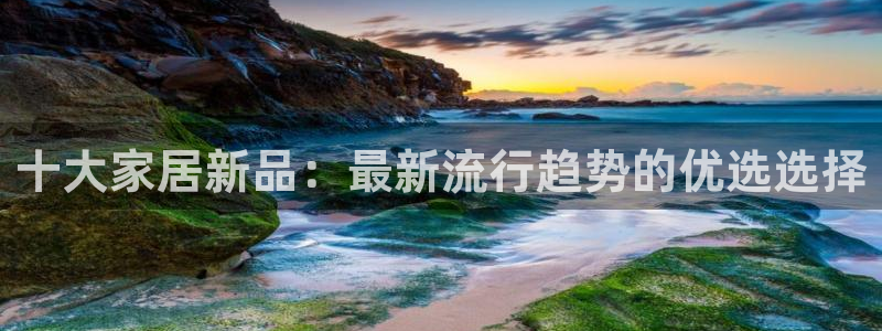 球盟会头号玩家是谁