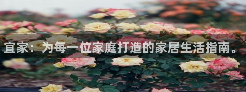 球盟会里面有打牌的嘛