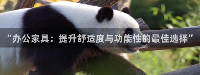 球盟会登录平台