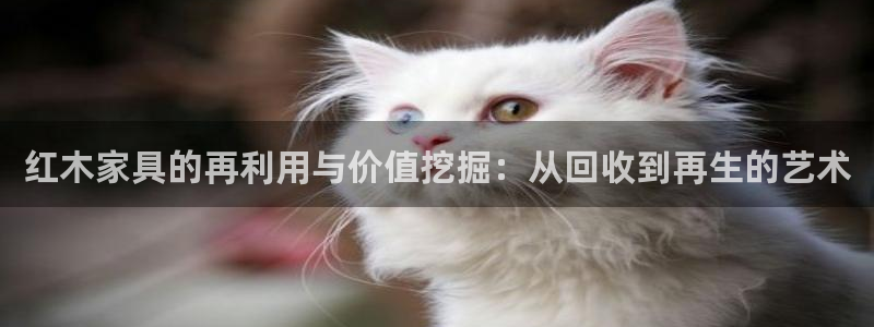 球盟会app网址多少