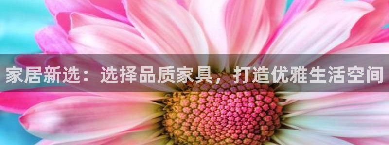 球盟会和中欧合作吗