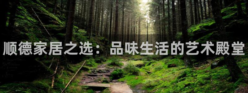 球盟会可以提现么现在