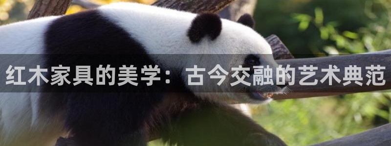 球盟会qmh网页版登录 - qm球盟会官方网站