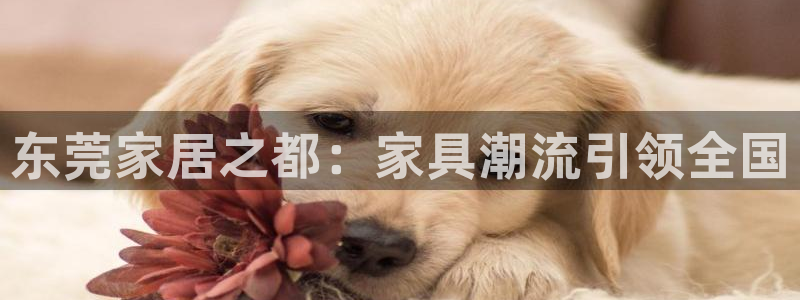 球盟会官网app下载